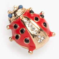 Lucky Ladybug Super Charm